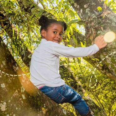 A natureza e a criatividade infantil